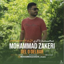 دانلود آهنگ جدید محمد ذاکری به نام دل و دلبر